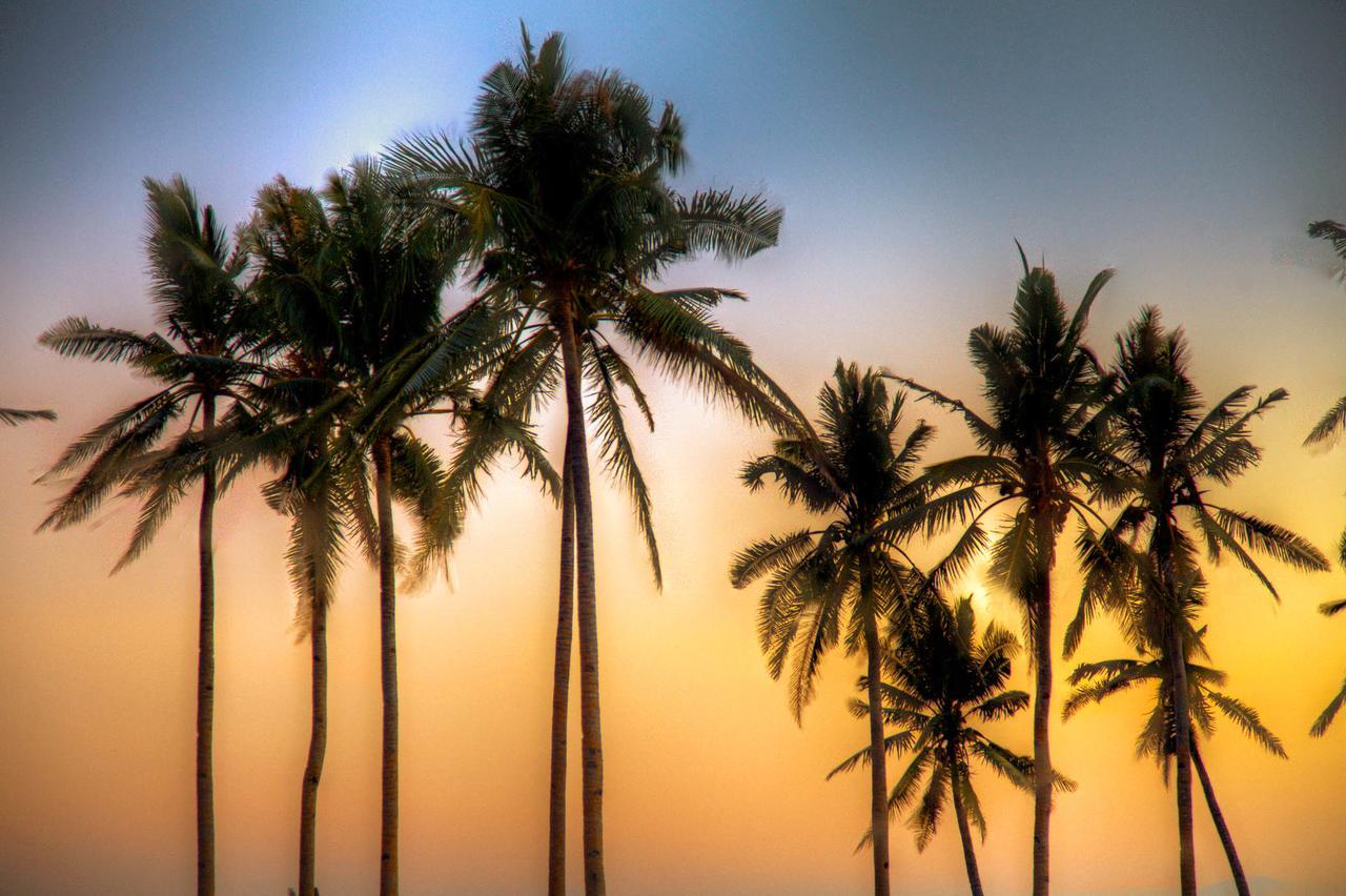 Kandaya Resort Daanbantayan Eksteriør bilde